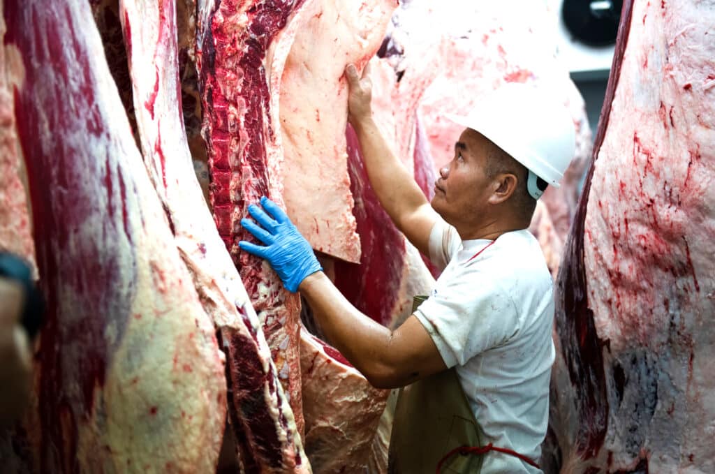 What is Beef Processing Software?