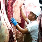 What is Beef Processing Software?